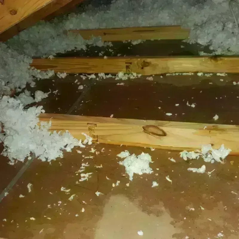 Attic Water Damage in Columbus, MT