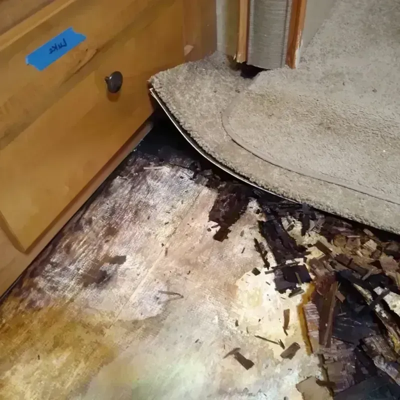 Wood Floor Water Damage in Columbus, MT